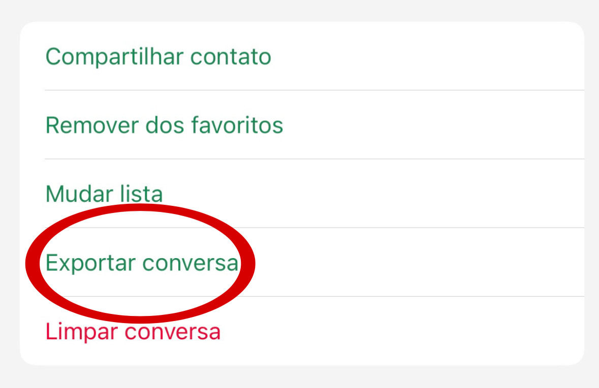 Passo 2: Exportar chat